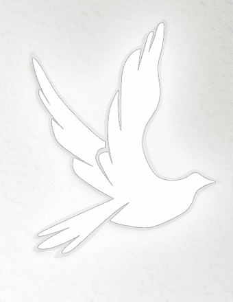 Denise Guidry Obituary